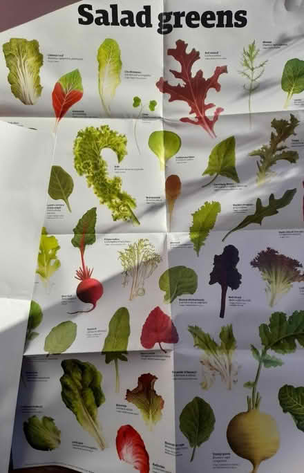 Photo of free 2 v large wall charts, as new (Kingsway) #2