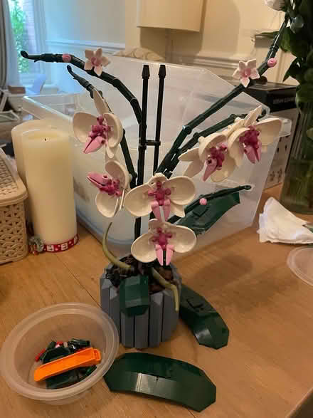 Photo of free LEGO Icons Orchid Set (Frimley,Camberley GU16) #1