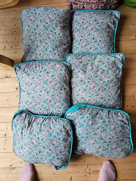 Photo of free Cushions (SW16 (streatham common)) #1