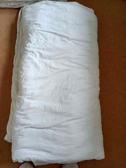 Photo of free Duvets king-size (Chalvington BN27) #2