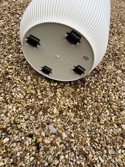 Photo of free Indoor flower pots (Norham Manor OX2) #3