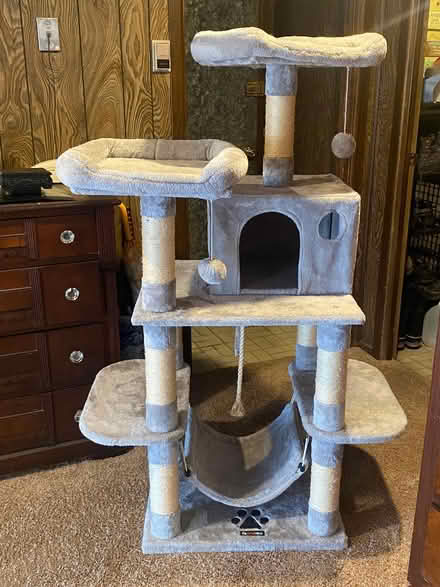 Photo of free Cat Condo (Montvale) #1