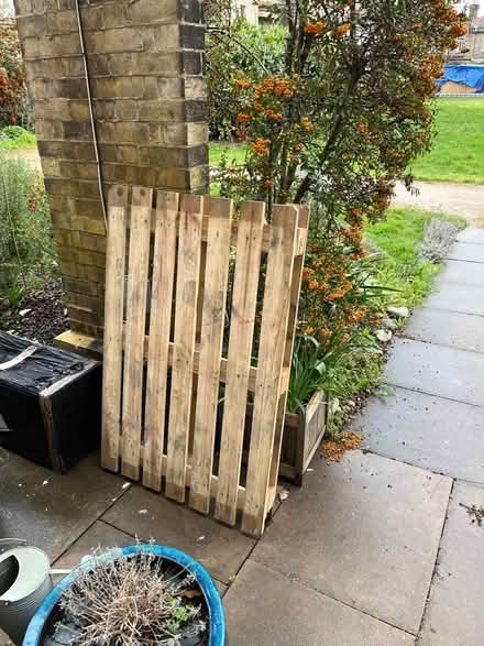 Photo of free Quarter pallet (Penge SE20) #1