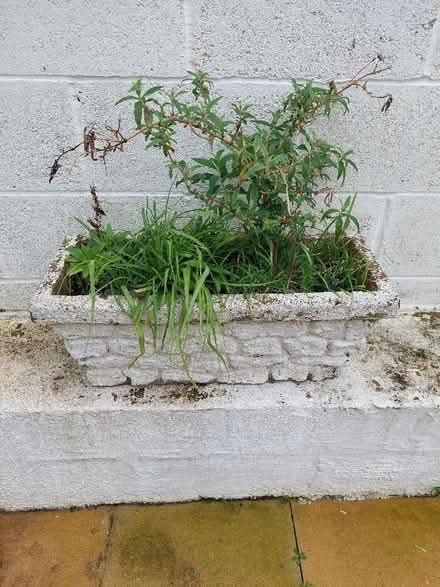 Photo of free Stone planters x2 (Seaford BN25) #2