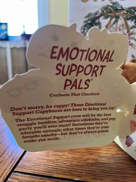 Photo of free Plush Toy (Springfield, Delco) #4