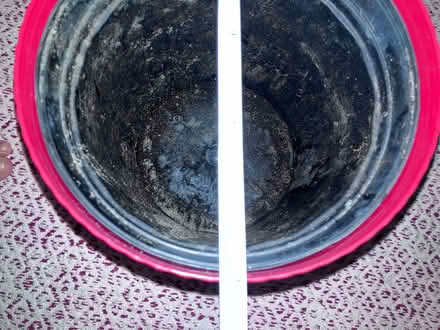 Photo of free 9” Plastic Planter Pot (Takoma, DC) #2