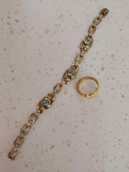 Photo of free Fancy dress snake ring and bracelet (Broadheath WA14) #1