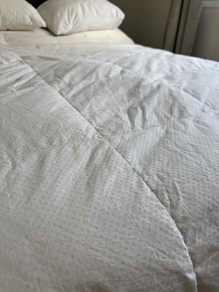 Photo of free Goose Down Comforter (Cherry Chase Sunnyvale) #3