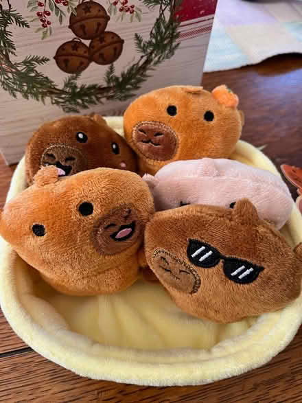 Photo of free Plush Toy (Springfield, Delco) #3