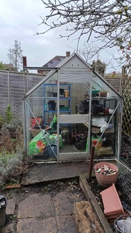 Photo of free 6ft x 6ft metal greenhouse (Shirley CR0) #1