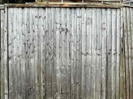 Photo of free Fence Panels (Catford South SE12) #1
