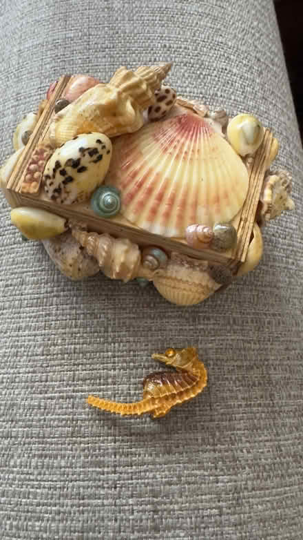 Photo of free Vintage shell box & seahorse brooch (Eagle Hill) #1
