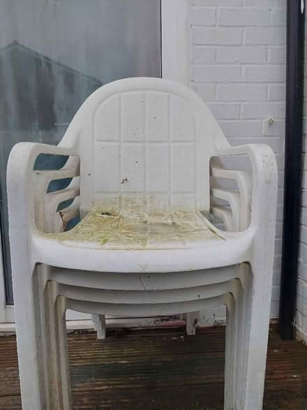 Photo of free White plastic garden chairs (Seaford BN25) #2