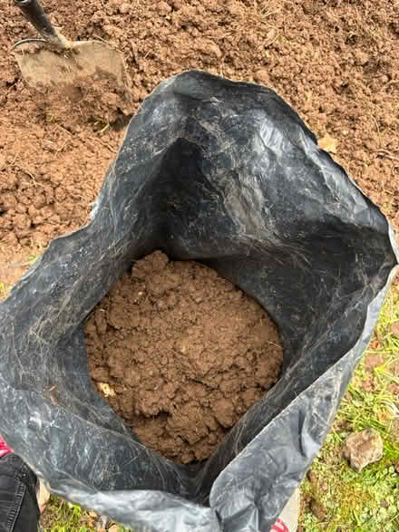 Photo of free Soil for raised beds (Cv82pg CV8) #2