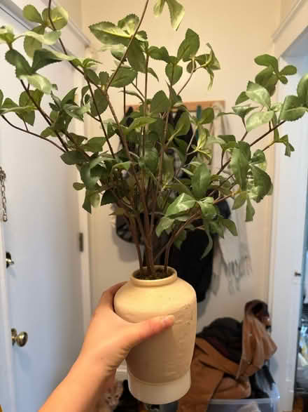 Photo of free 2 fake plants (Allston) #2