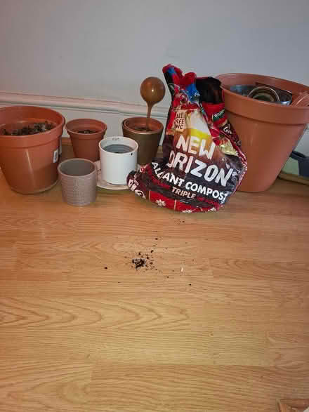 Photo of free Planters & soil (BR3 Beckenham Rd tram stop) #3