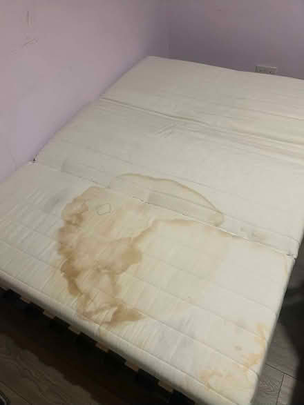 Photo of free Sofa Bed (West Thornton CR7) #3