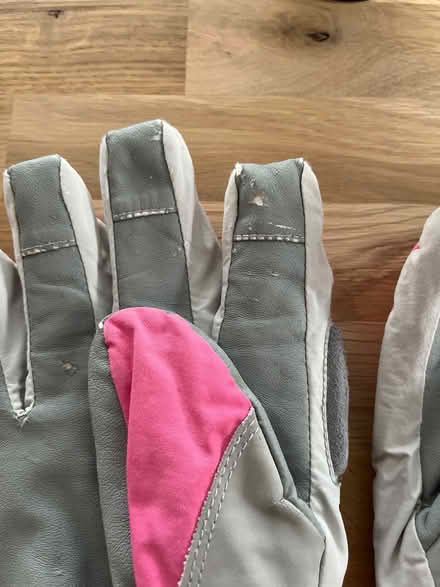 Photo of free Ladies ski gloves (Winnersh RG41) #3