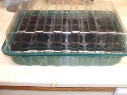 Photo of free Seed Trays (Molesey KT8) #2