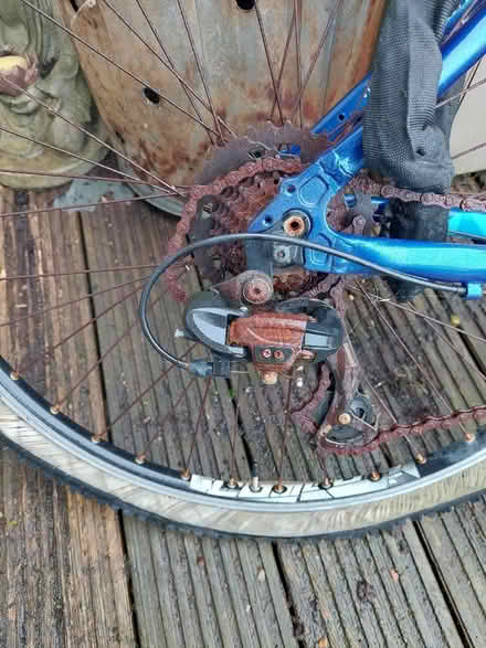 Photo of free Claude Butler mountain bike (Seaford BN25) #2