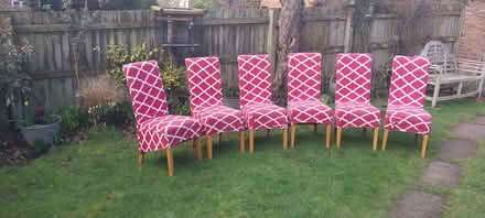 Photo of free 6 x dining chairs (wymeswold) #1