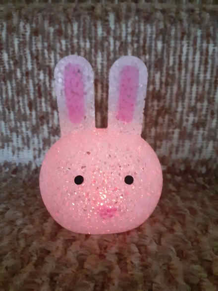 Photo of free Bunny Light (Kingsway) #2