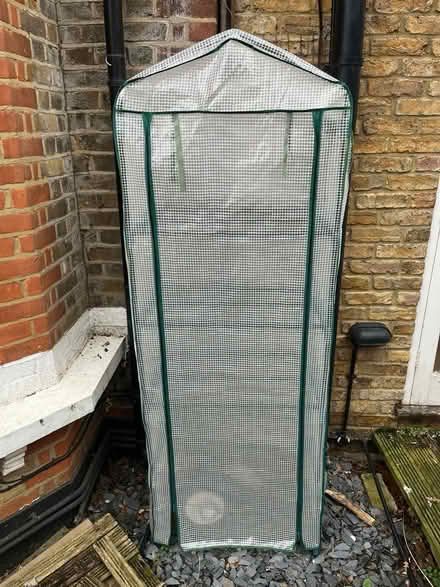 Photo of free Small greenhouse (Whitton TW3) #2