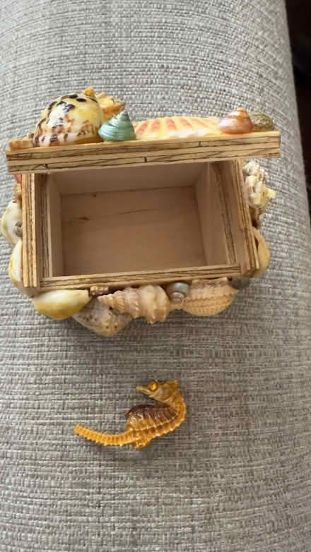 Photo of free Vintage shell box & seahorse brooch (Eagle Hill) #2
