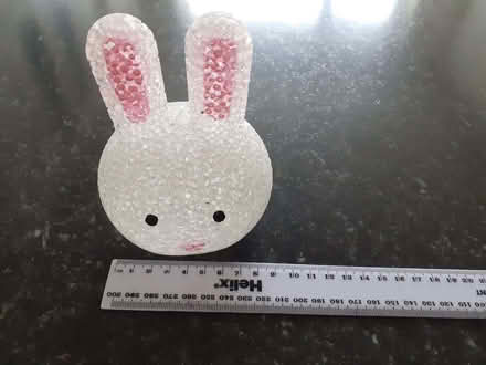 Photo of free Bunny Light (Kingsway) #3