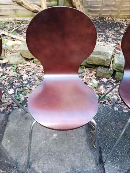 Photo of free 4 'Ant' style dining chairs (set of 3 + 1 other) (Didsbury M20) #3