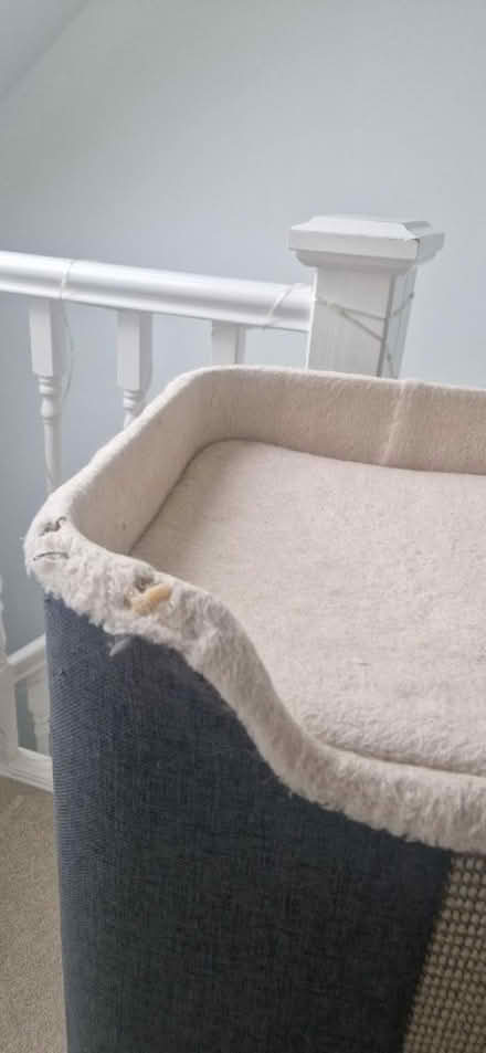 Photo of free Cat barrel tower (Shoreham by Sea BN43) #4