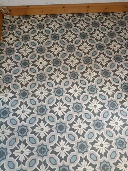 Photo of free Lino (Leigh Beck SS8) #3