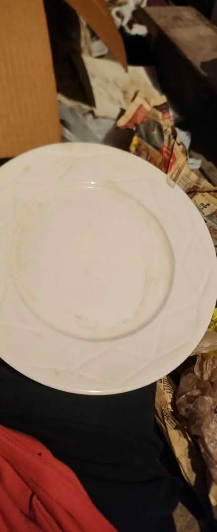 Photo of free Curb Alert various glass & ceramic (Fair Lawn, NJ) #4