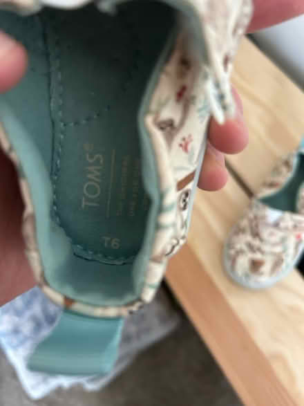 Photo of free Toddler size 6 Tom’s shoes (Los Gatos Blvd x Lark) #2