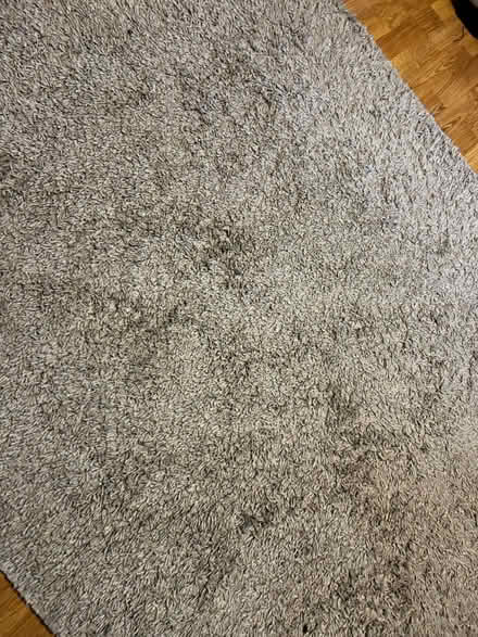 Photo of free Rug (Enfield N13) #2