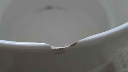 Photo of free 3 Plant Pots (must take all 3) (Baseline & Greenbank) #4