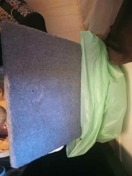 Photo of free Cat donation (Dublin 5) #1