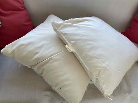 Photo of free Cushions (Central Greenwich SE10) #1