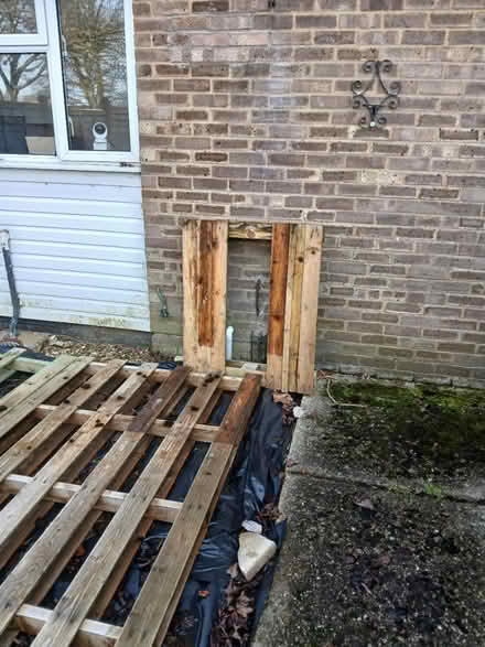 Photo of free 3 Large wooden pallets 1 small one (RG22 5AL) #3