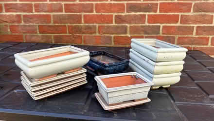 Photo of free Bonsai pots (Clanfield PO8) #3