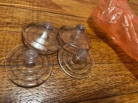 Photo of free Four suction cups (Winter Hill) #1