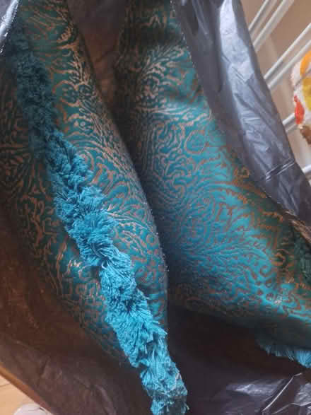 Photo of free 2 cushions (Forestgreen) #1