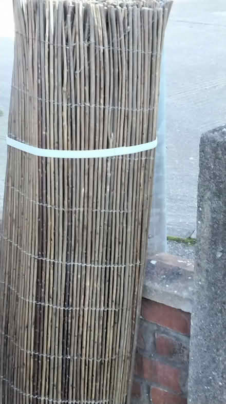 Photo of free Unused roll on garden bamboo screening (Delapre) #1