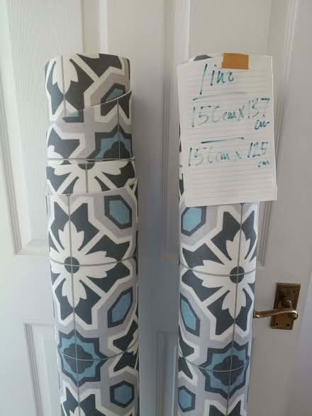 Photo of free Lino (Leigh Beck SS8) #4