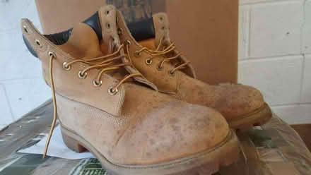Photo of free Men's Timberland boots size 12 unused (Maybury Hill GU22) #1