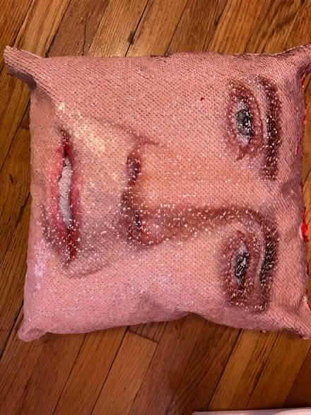 Photo of free Nicholas Cage pillow (Winter Hill) #1
