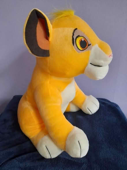 Photo of free Simba Cuddly Toy (Colwick NG4) #1
