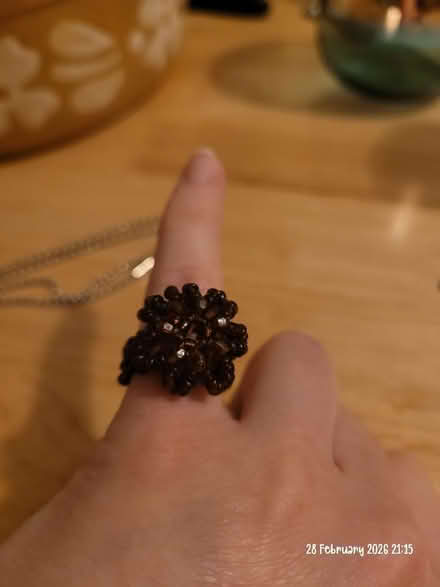 Photo of free Costume/kids jewellery (Moseley B13) #4