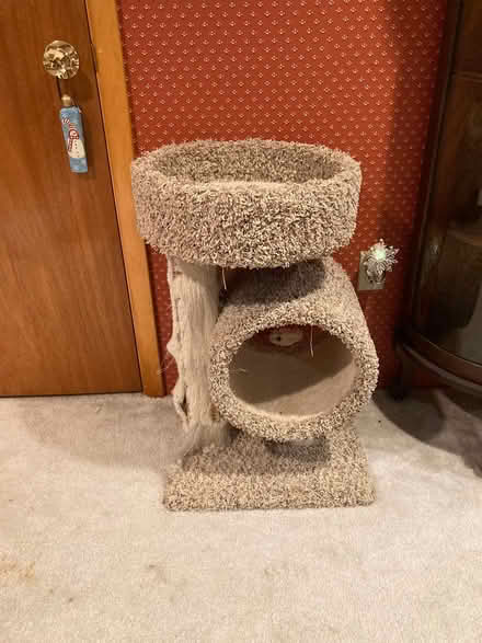 Photo of free Kitty condo (Kennedy road stop & shop,) #1
