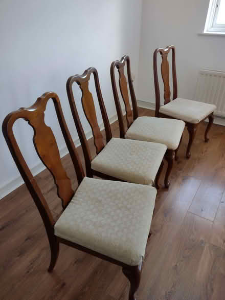 Photo of free 4 dining chairs (Alresford CO7) #1
